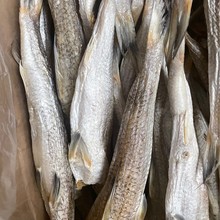 ���~չ���ؔ����~�ɳ���~�t���~�ɵ��ɽ����С�~���~�ɸ��~