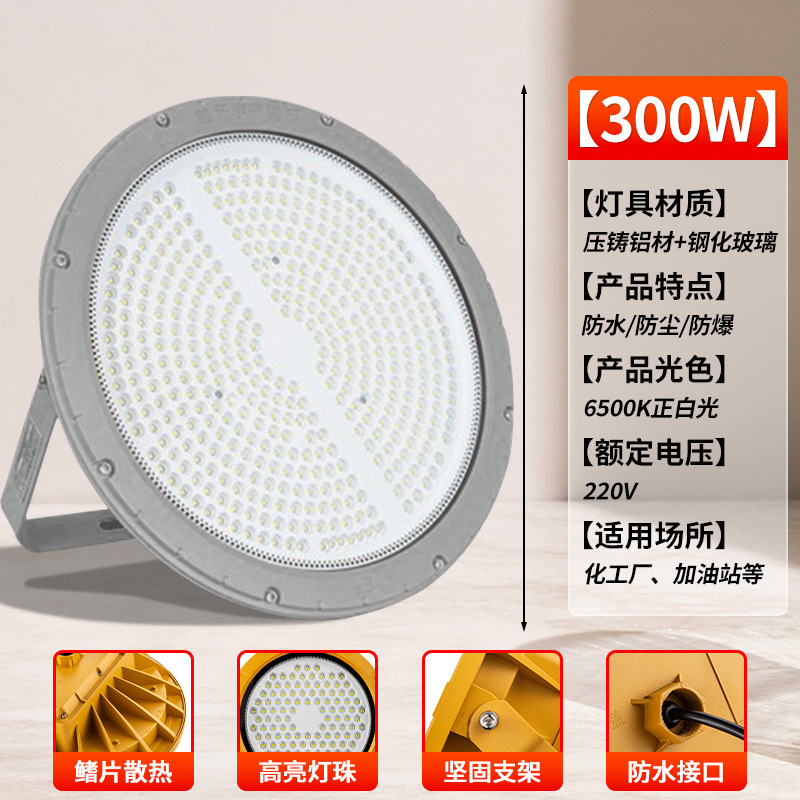 [그레이 라운드 EX 방폭등] 300W