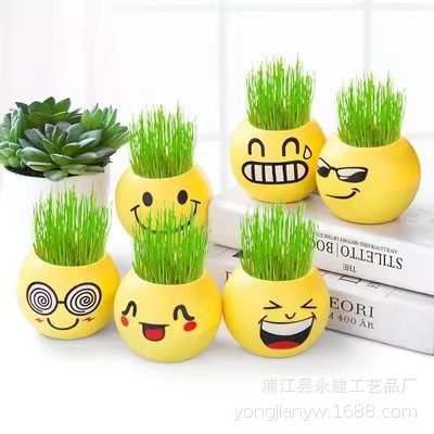 YJ01  办公室摆件玩具桌面长草头娃娃盆栽炫酷表情负离子迷你种植