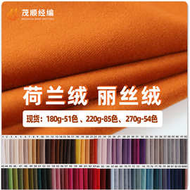 工厂荷兰绒沙发布现货天鹅绒抱枕布 服装丽丝绒布料 宠物用品绒布