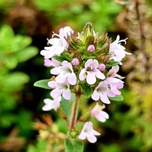 �����㾫������ݾ����������s��ȡ�����ջ���޹�η�ֲ��ԭ�Ͼ���