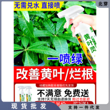 发财树营养液肥料肥黄叶烂根绿萝金钱树绿植盆栽通用叶面肥料