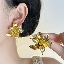 �����¿����w�󻨶��F���W����ᔶ���s�r�����Ů�������w���|