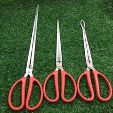 �S�X�Q�з�A���S�X�A���з�Q�X�~�Q�A�~���~�Q�O��