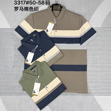 ��ʿ����t�����Ʊ�˿���������POLO��ڴ��ְ�װ����������˹