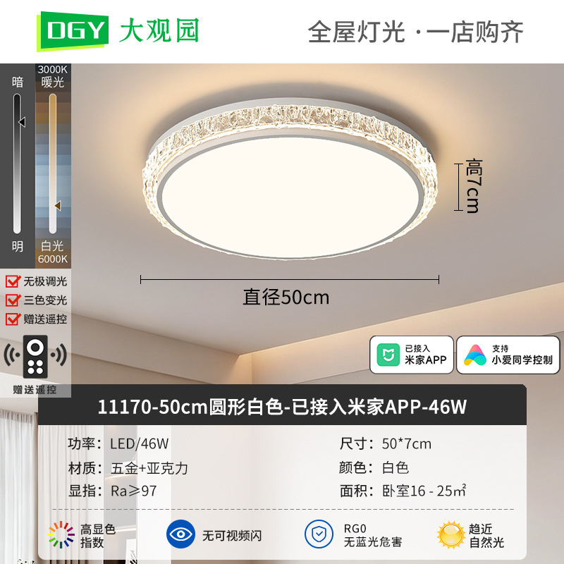 Luz de techo de sala de estar moderna y simple nueva luz de lujo de alto nivel, luz de techo de protección de ojos de espectro completo 293L