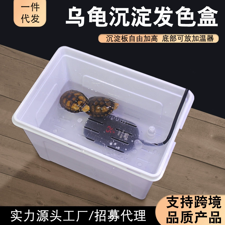 Прозрачная изолирующая пластина Черепаха Цвет волос коробка Живая бритва западноафриканская ядро с красным лицом узкий мост