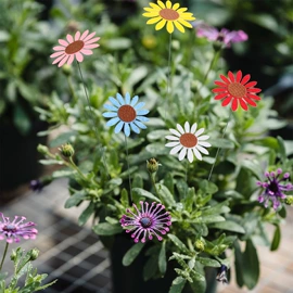 墙贴;玻璃贴;马桶贴