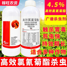 一件代发氯氰氟菊酯菊脂蔬菜果树菜青虫蚜虫农药杀虫剂杀虫喷雾