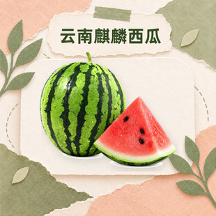 ����������� һ�����l3/5/9��ɳȿ��Ƥ��֭�tȿ�������l���rˮ��