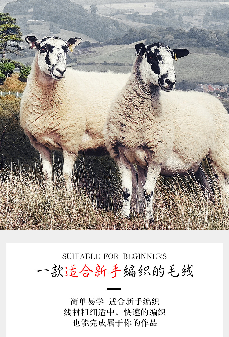 详情_06.jpg