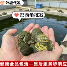 ���������l ������BС�����[������ؔ����� �m�����ּ��BС����