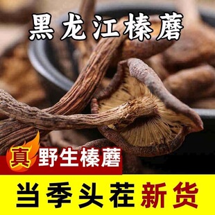 2025����؛�L��ɽ�خa���Ģ�|��С�u��Ģ������؛�o��500g���]
