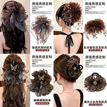 ��ɫ�p�ݾW�������Yץ�AŮ��2026�¿�l�A���X�״�̖�P�l�l�
