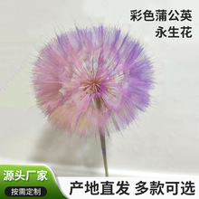 ��ɫ�ѹ�Ӣ�����������s�Ҿ��k���Ҳ������廨�ɻ��[���bY��