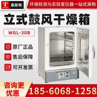 ���̩˹��WGL-30B 늟���L������