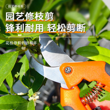 ��֦����ˇ�@ˇ������֦��@ˇ�@�ֹ�֦������ժ������֦�������