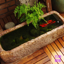 LR¹ŻBʯ۔[ͥԺˮMfϴg