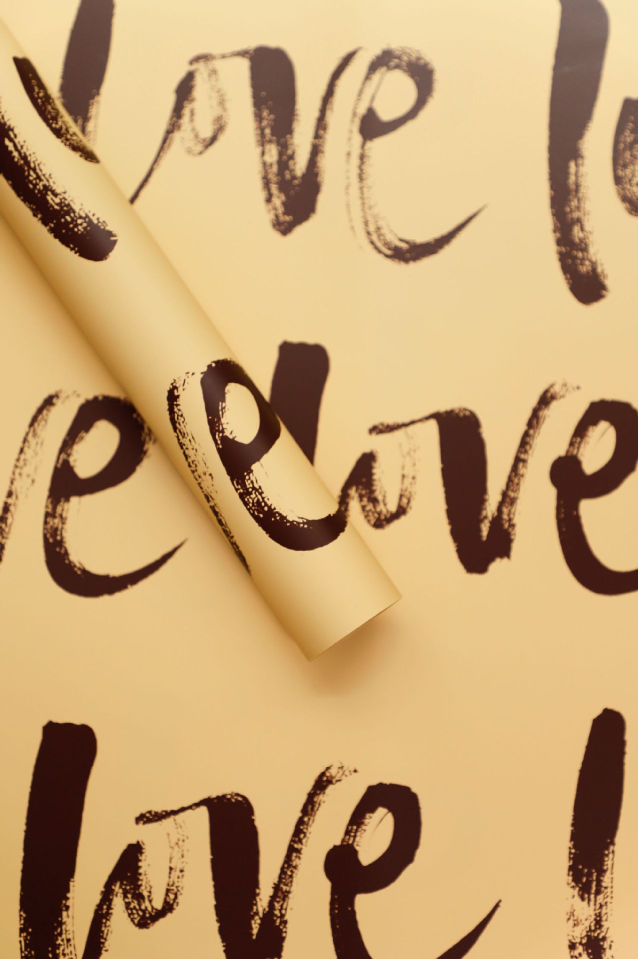 04 champán; 20 hojas, 56 cm