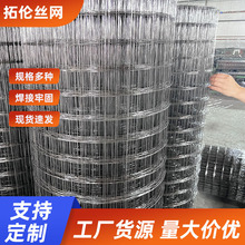 镀锌铁丝电焊网片建筑网格 养殖网加粗狗笼子钢丝围栏 电焊网厂家