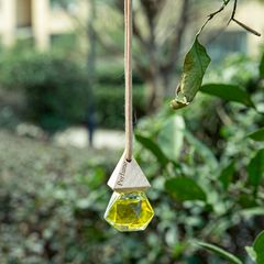 Car air freshener hanger, automotive accessories, fragrance, interior decoration, high-end light scent, hanging type car perfume