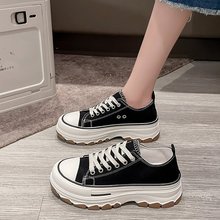 2025�＾�ٴ�ɐۺ�����߷���ЬŮ�n��ins�W��