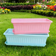 ���ϷNֲ������ô�̖�L���Α���������Ғ���@�����̨�N����