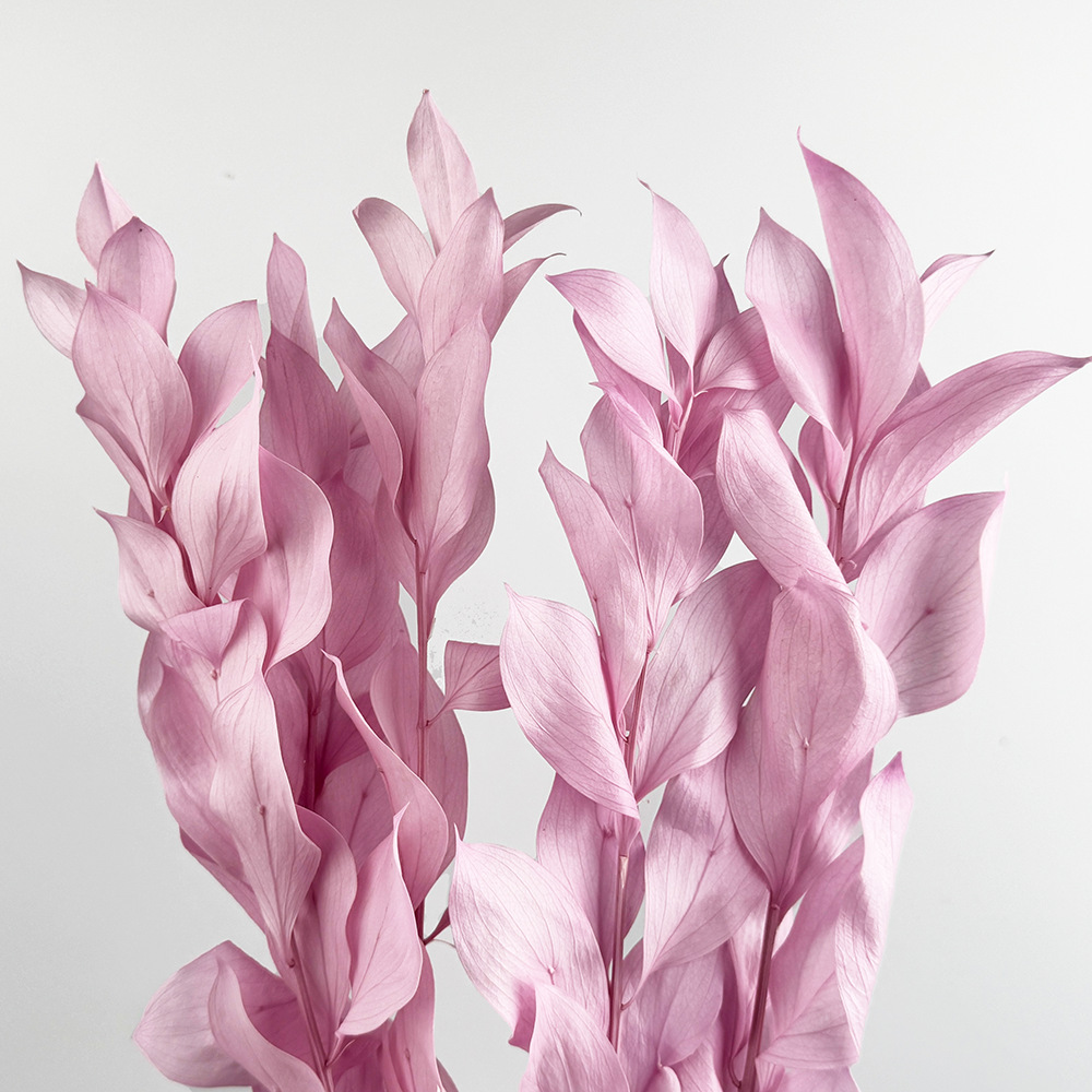 Imortales flores de naranja importación de alta calidad flores verdaderas flores secas ramo de flores DIY día de San Valentín flores hechas a mano fábrica de Yunnan al por mayor