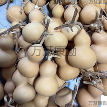 С���J��Ȼ���J������������[������S�ҵؔ�С����Ҿӿ���