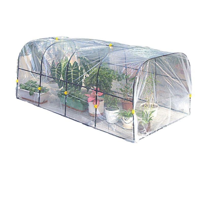 겨울 야외 꽃 방 단열 창고 안뜰 야외 녹색 식물 꽃 온실 야채 온실 온실 꽃 창고 가구