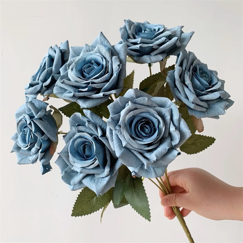 Mist Blue Bundle / Relieve