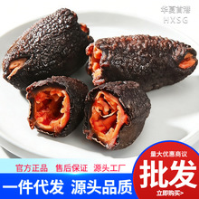 �t�O�����l�M��Ұ�����u���O�t����Ƭ�����ʳ��ֻ�t���t�O��ֱ��