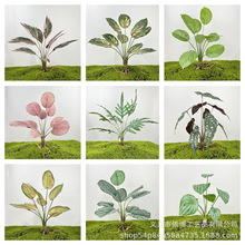 9�^�Gֲ�~��ֲ����^�OӋ������ԾGֲ�Ҿ��b����Q���ڏS���N