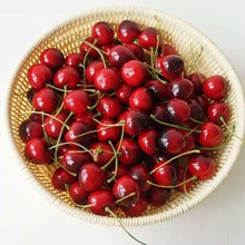 仿真樱桃车厘子模型小水果蔬菜道具假水果小樱桃果拍摄道具装饰品