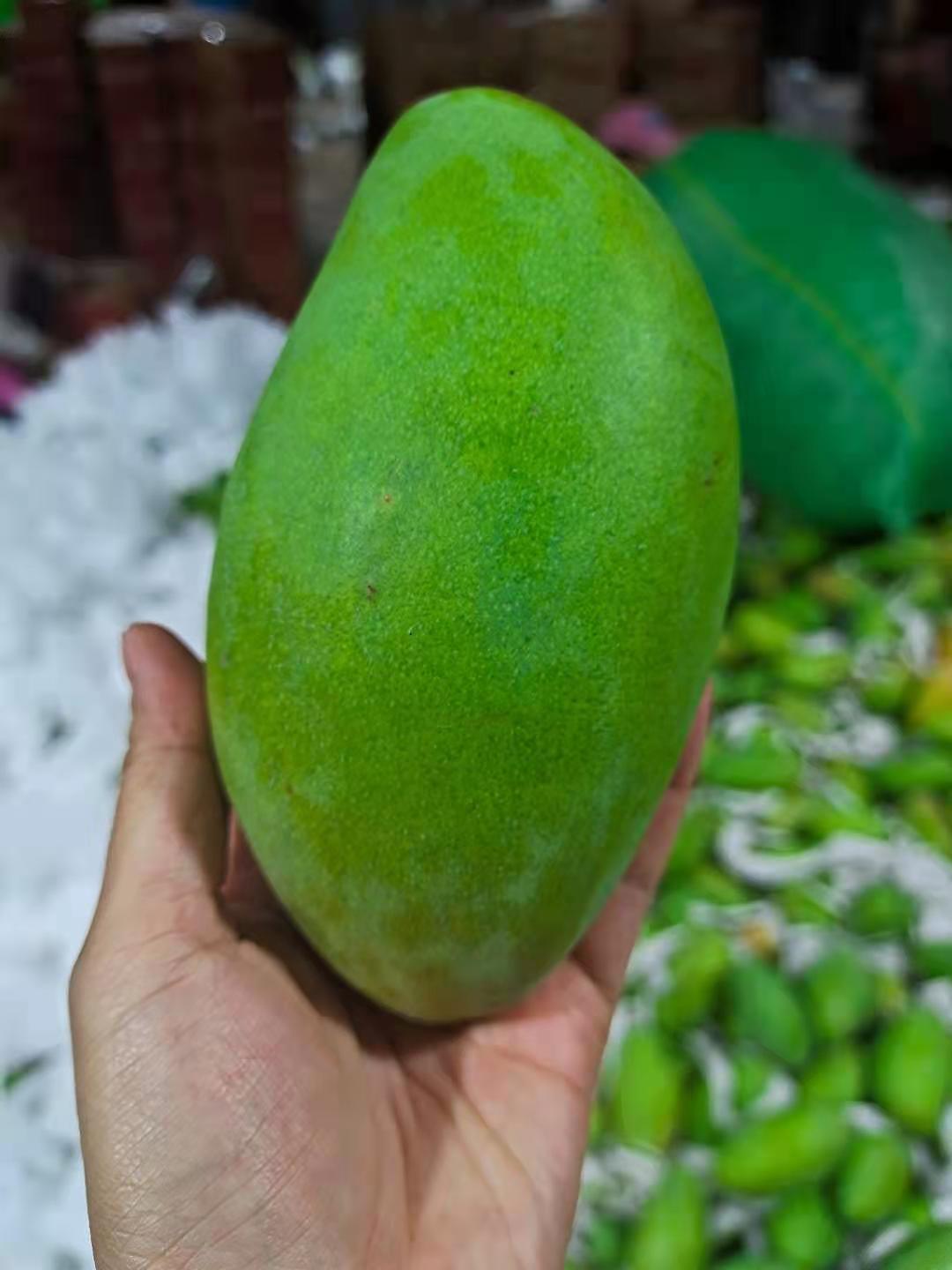 越南新鲜当季青皮玉芒|ms