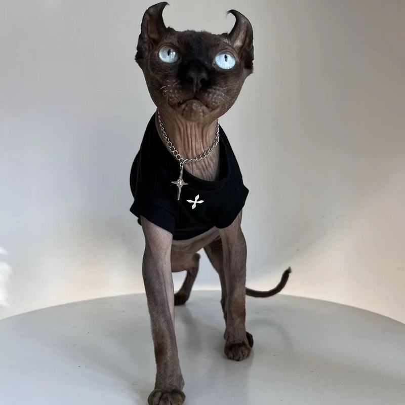 猫服高級シンプル薄半袖デヴィンスフィンクス無毛猫四季通用ペット服|undefined