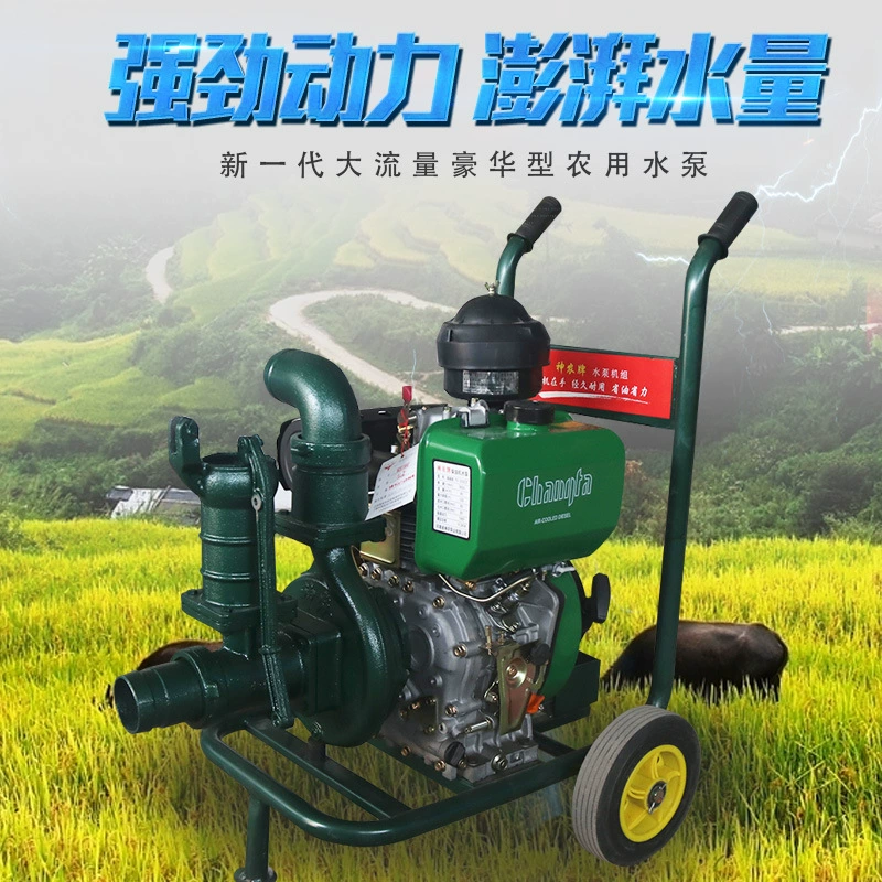 Встроенный водяной насос с дизельным двигателем 195 бытовой ирригационный насос для орошения сельскохозяйственных угодий высокий подъем дизельный насос с большим расходом