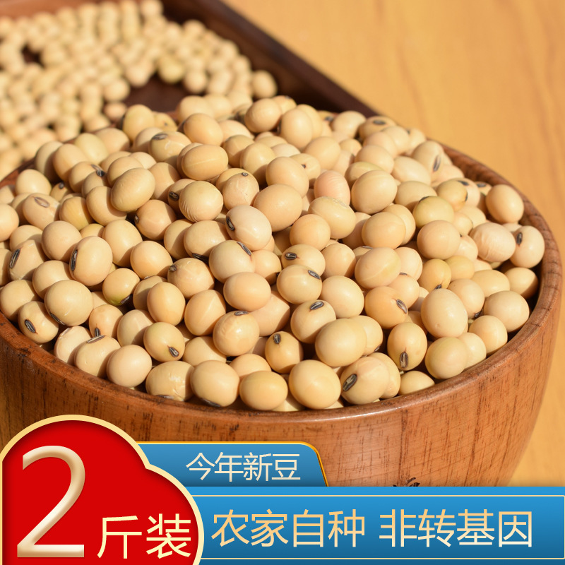 大豆農家 自家産豆乳専用大豆 非遺伝子組み換え古品種大豆 生豆もやし 2.5kgパック|undefined