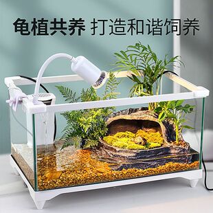 Ecological Tank Fish Turtle Glass Turtle with Terrace Home Home Farming Brazilian Turtle Small House Breeding Box Fish Tank Landscaping