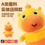 大号爆款生日可爱玩偶