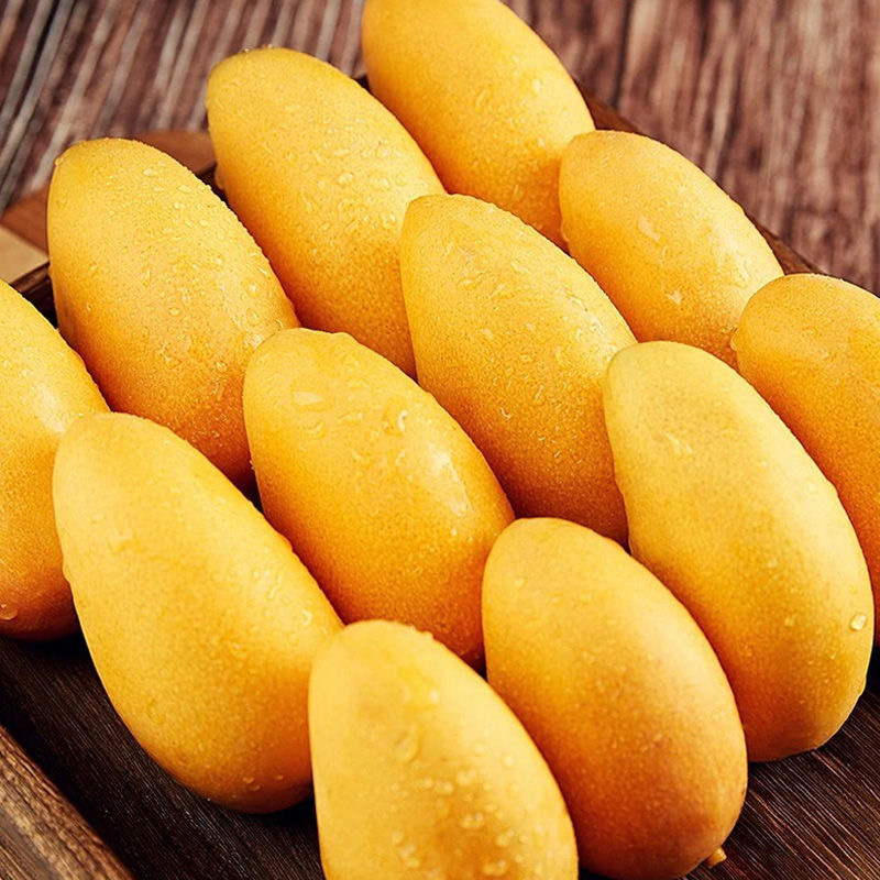 Hainan Xiaotainong Mango 5kg Fresh Xiaotainong Mango, Seasonal Fruit, Freshly Picked Tropical Mango, Whole Box with Free Shipping, Sweet