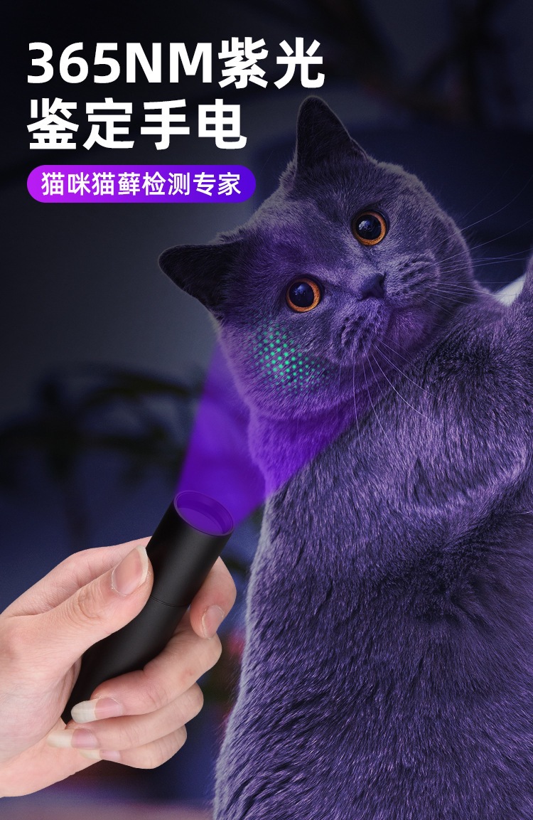 UV紫光手电筒验钞笔36详情图06