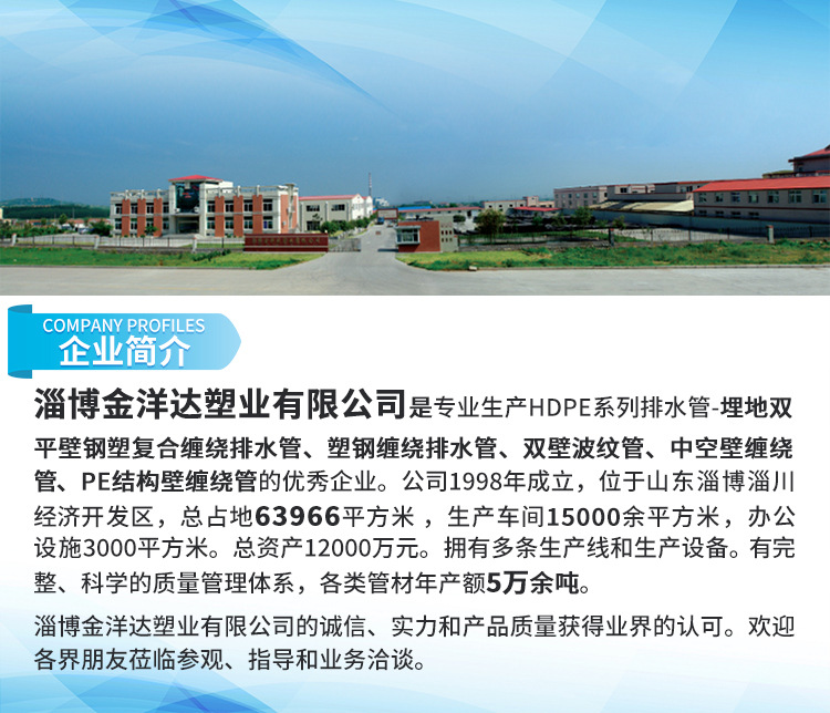 公司实力