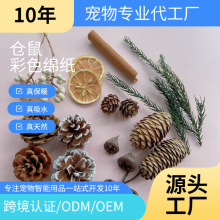 ���S�ɹ���޹�U�㱭�����ɹ��ɻ��}�Q�b��Ĕz������Ȼ�ֹ��M�Ϲ�