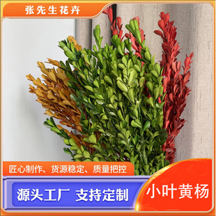 ����С�~�S����ϻ������l�羳�F؛�}�Q�b�DIY�廨�滨�~�Ļ���