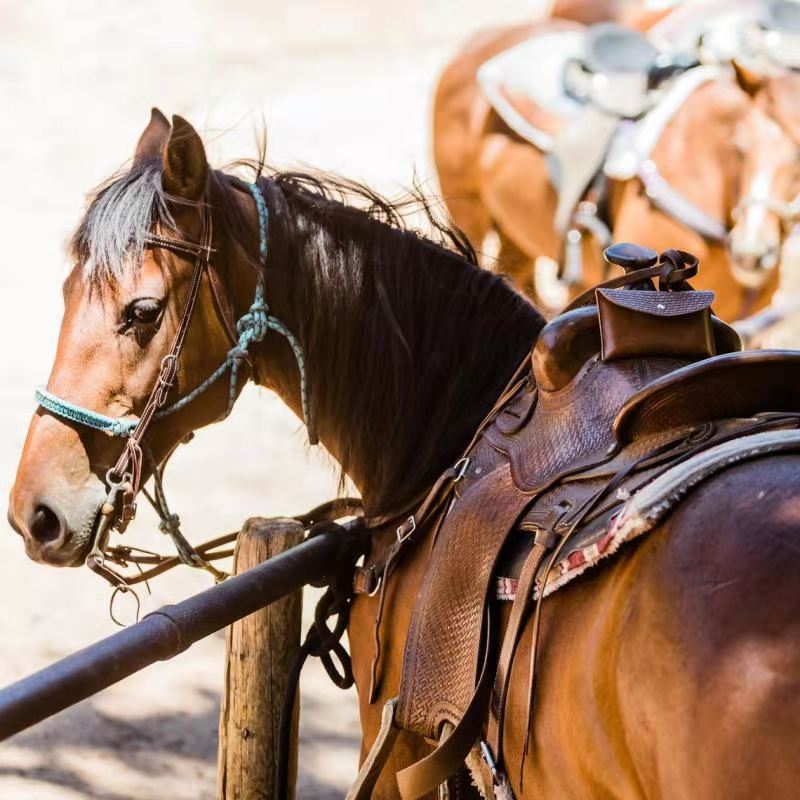 Shou Factory – sac à main avec pompon, portefeuille de Style Cowboy occidental en relief de couleur douce_voghion.com
