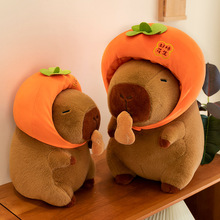 ¿ˮñӿƤëq߹ץCż