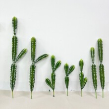 ���������ƼپGֲ���W�L�҃��b[���Ҿ��쾰����ֲ��������