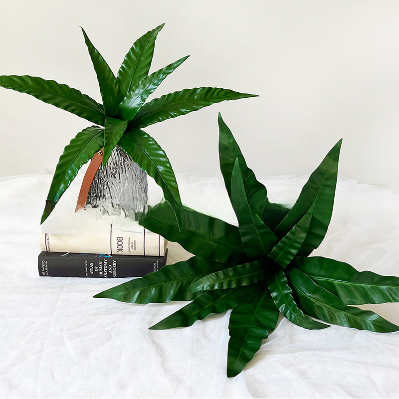 仿真蕨葉鳥巢蕨鳳朝葉家居裝飾植物造景綠植背景牆綠葉軟裝盆景