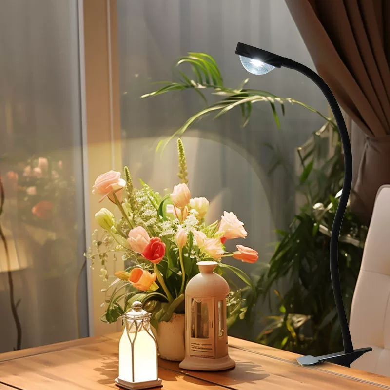 Fill light, floor plant lamp solar-powered, comfortable light spectrum